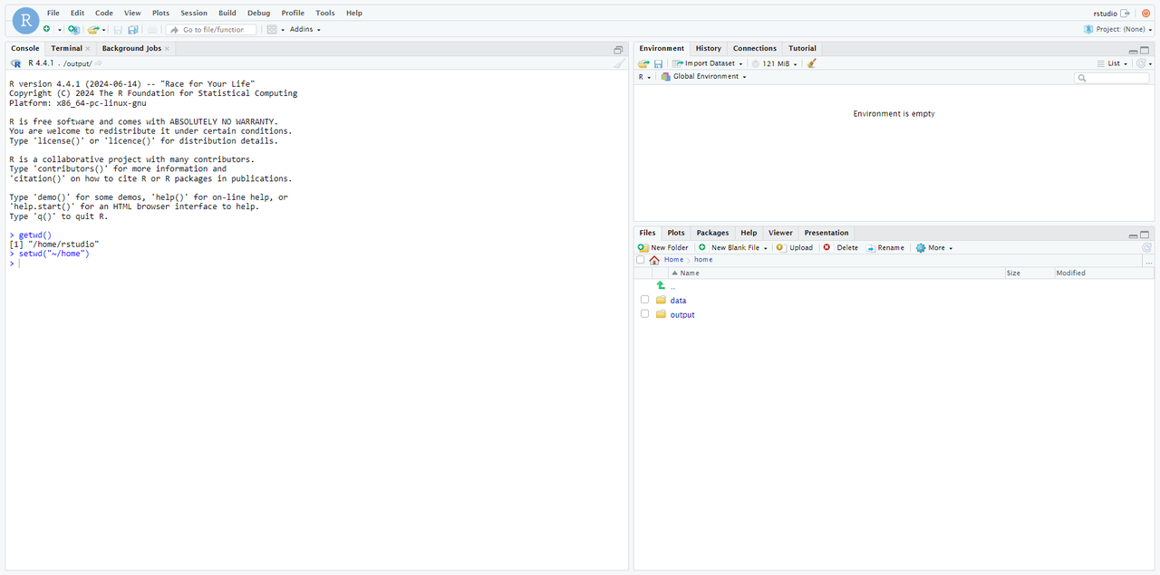 查看当前工作目录
