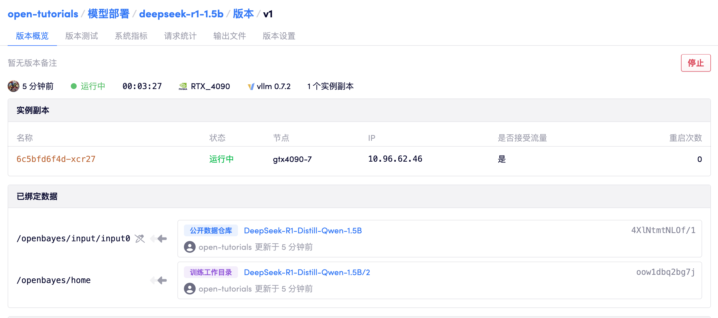 模型部署版本详情页面