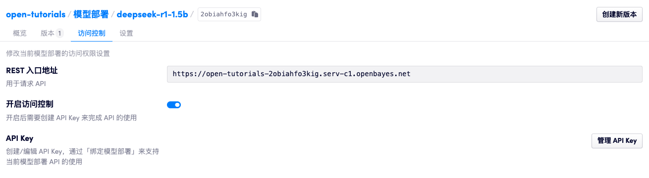 API Key 管理界面